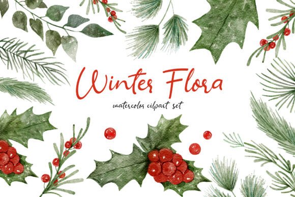 Download Winter Flora Watercolor Hand-drawn Set - Flora Collection